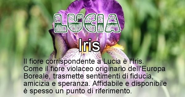 A Quale Fiore Corrisponde Il Nome Lucia